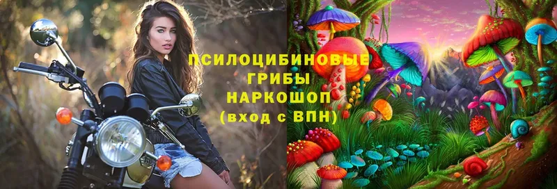 это официальный сайт  Неман  Галлюциногенные грибы Psilocybine cubensis 